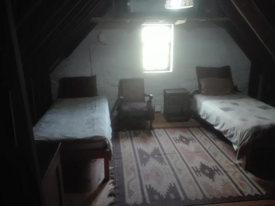 Emerald Hill Cottage 포트엘리자베스 외부 사진